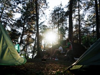 Camping med vänner illustration