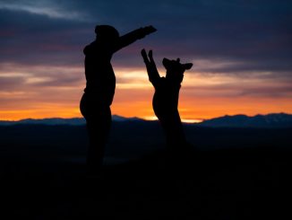 Camping för hundägare illustration
