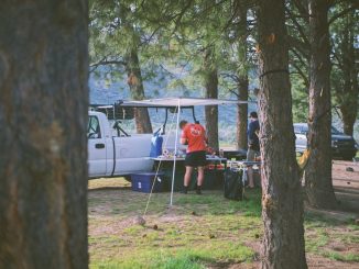 Camping i skogen illustration