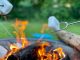 tips för att överleva i naturen illustration
