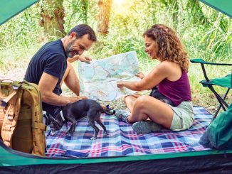 Tips för att välja rätt tält för din campingresa illustration