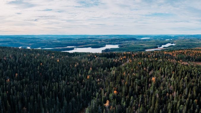 Camping för naturälskare illustration